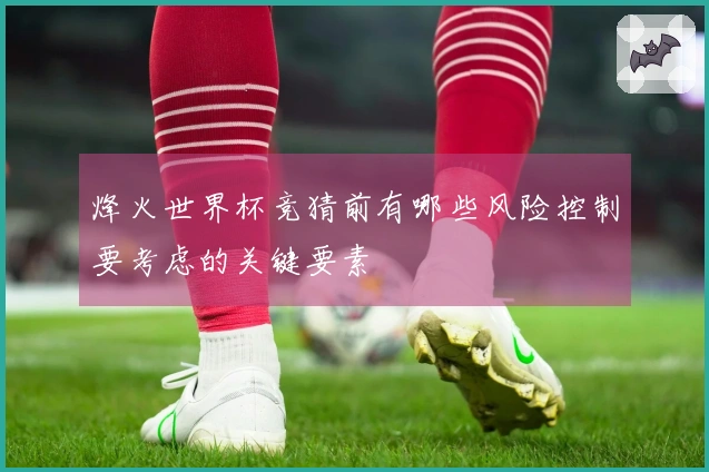 烽火世界杯竞猜前有哪些风险控制要考虑的关键要素
